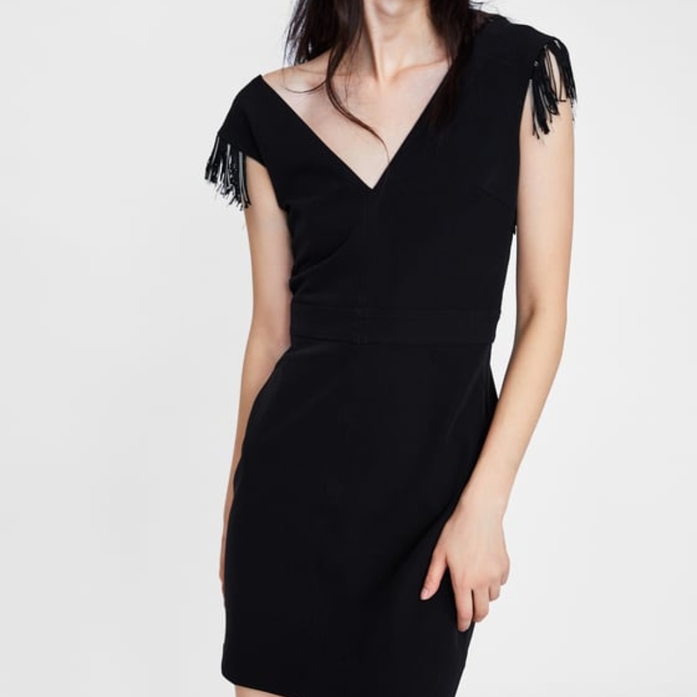 NWOT Zara Dress
